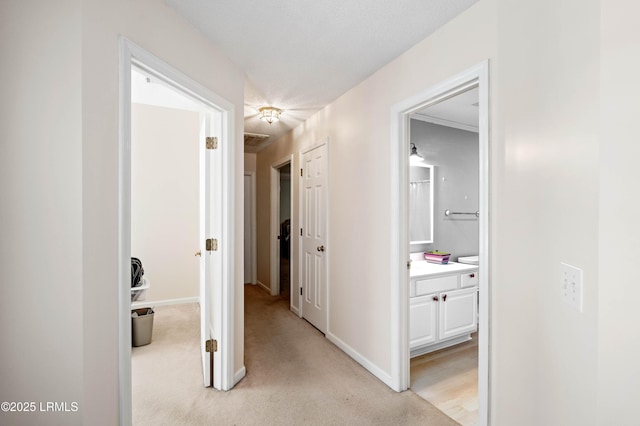 4 Moultrie Ct, Beaufort, SC 29907 - hall with baseboards and light colored carpet