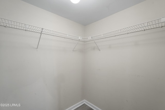 269 Ceasar Pl, Hilton Head Island, SC 29926 - view of spacious closet