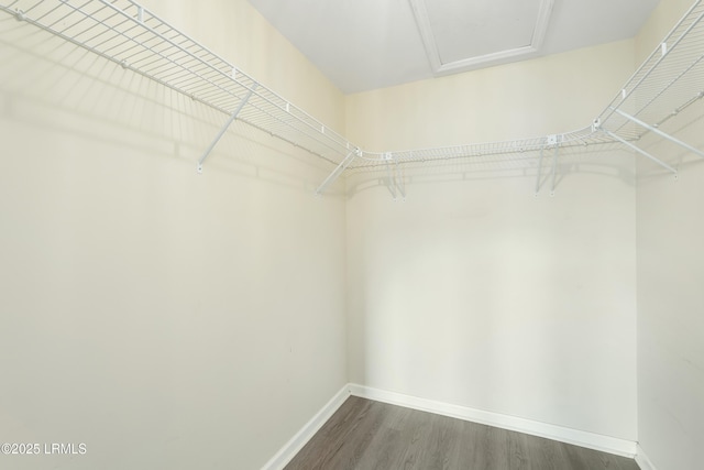 269 Ceasar Pl, Hilton Head Island, SC 29926 - spacious closet with wood finished floors