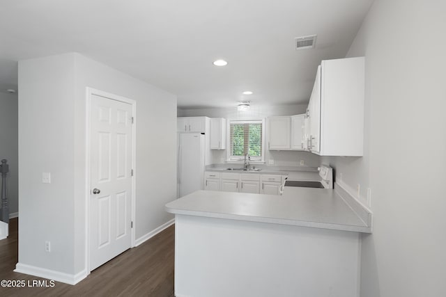 269 Ceasar Pl, Hilton Head Island, SC 29926 - kitchen with range, a sink, dark wood-style floors, light countertops, and recessed lighting