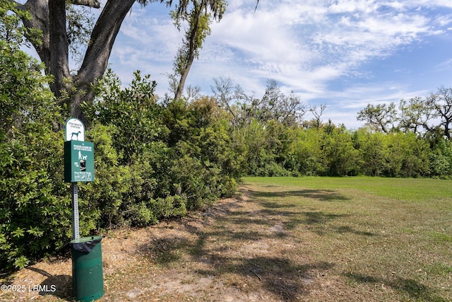 106 Winyah Way, Beaufort, SC 29906 - view of grassy yard