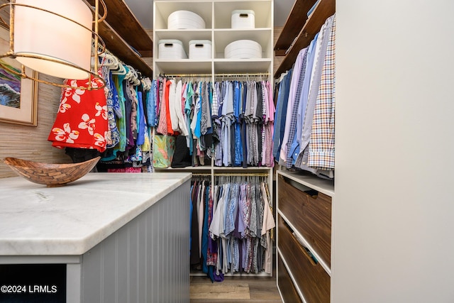 spacious closet with hardwood / wood-style flooring