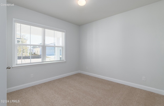 spare room featuring carpet floors