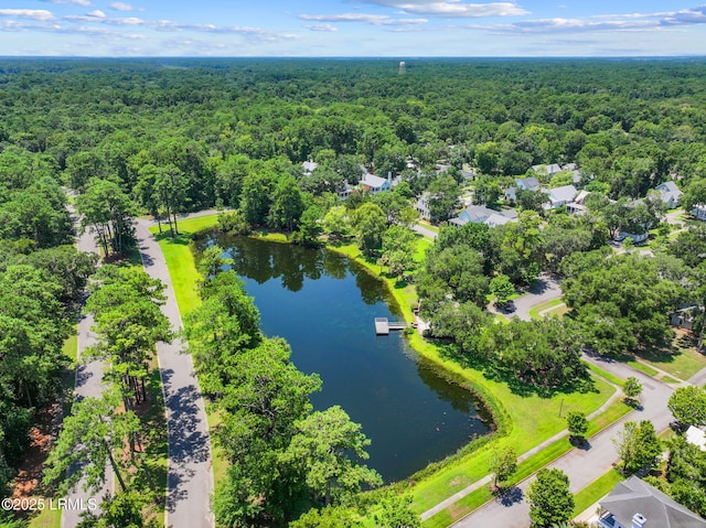 1 Park Row, Beaufort, SC 29907 - photo 55