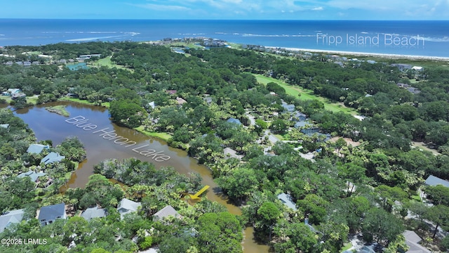 129 Sea Otter Ln, Fripp Island, SC 29920 - aerial overview of property's location featuring a nearby body of water and a tree filled landscape