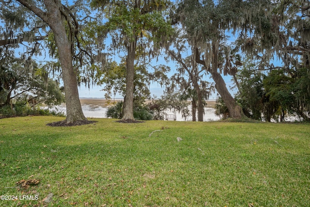 view of yard with a water view