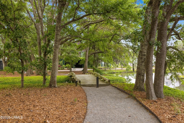 18 Old Tabby Rd, Spring Island, SC 29909 - photo 45