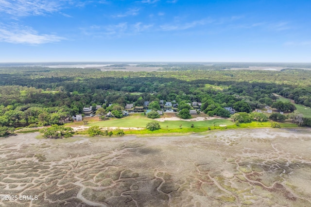 18 Old Tabby Rd, Spring Island, SC 29909 - photo 29