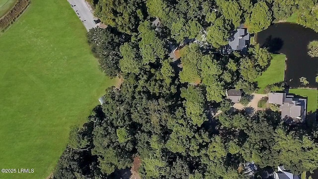 18 Old Tabby Rd, Spring Island, SC 29909 - photo 8