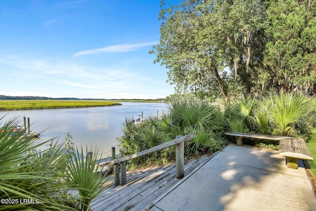 18 Old Tabby Rd, Spring Island, SC 29909 - photo 17