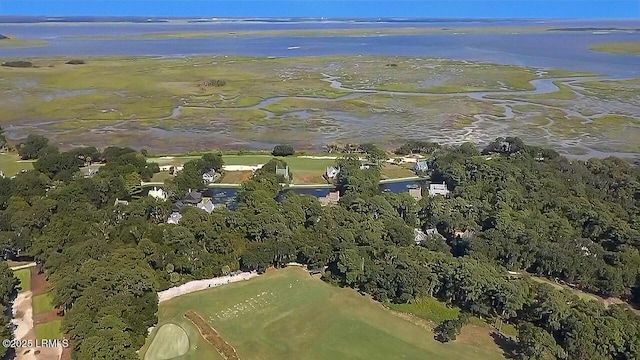 18 Old Tabby Rd, Spring Island, SC 29909 - photo 11