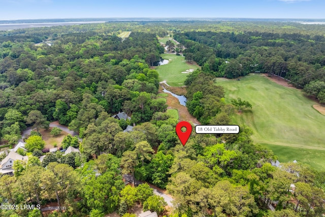 18 Old Tabby Rd, Spring Island, SC 29909 - photo 46