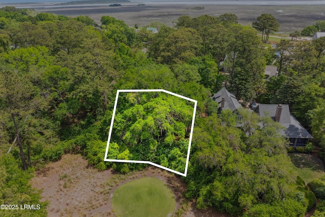 18 Old Tabby Rd, Spring Island, SC 29909 - photo 5