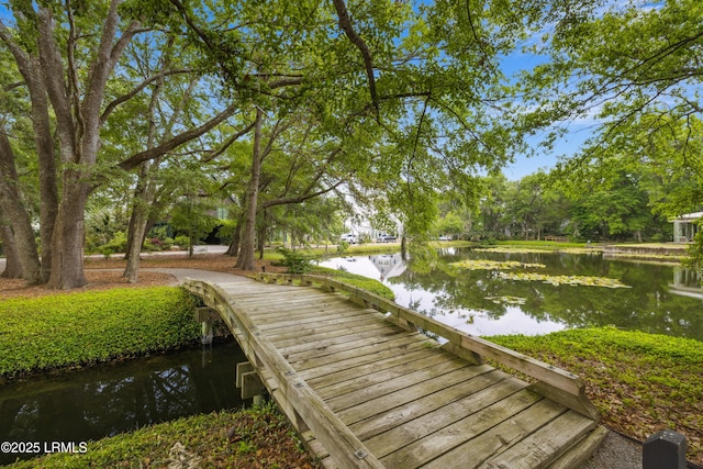 18 Old Tabby Rd, Spring Island, SC 29909 - photo 36