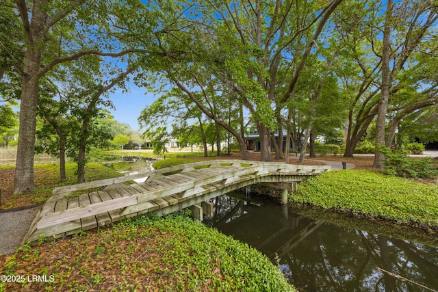 18 Old Tabby Rd, Spring Island, SC 29909 - photo 35