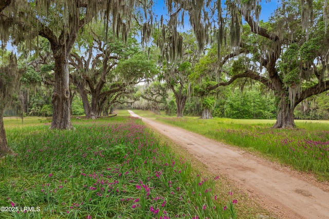 18 Old Tabby Rd, Spring Island, SC 29909 - photo 43
