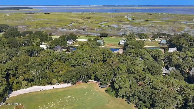 18 Old Tabby Rd, Spring Island, SC 29909 - photo 10