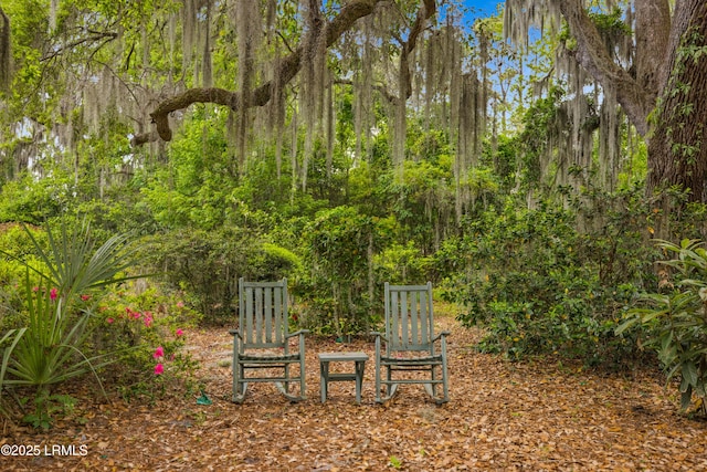 18 Old Tabby Rd, Spring Island, SC 29909 - photo 44