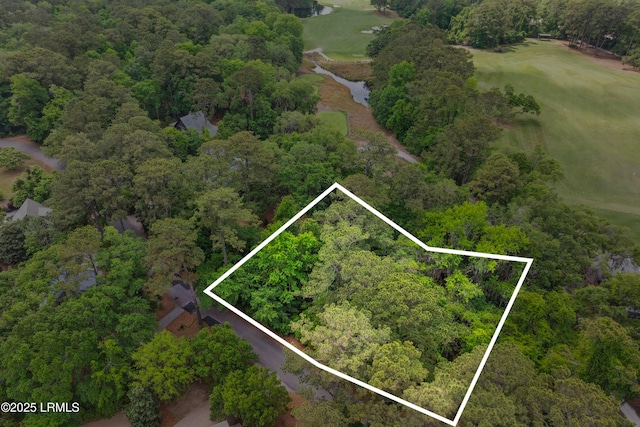 18 Old Tabby Rd, Spring Island, SC 29909 - photo 7