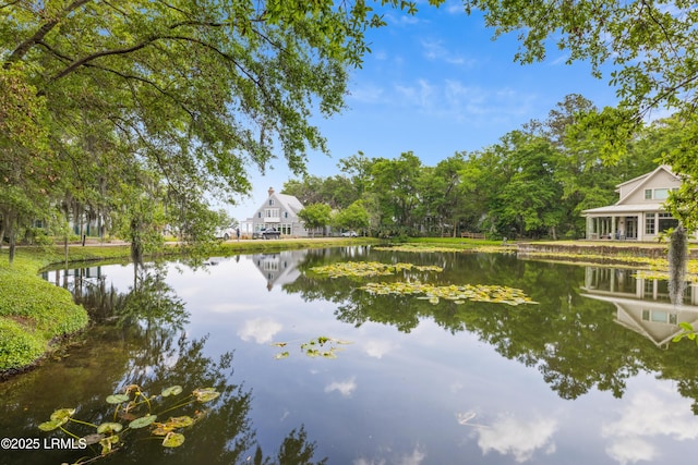 18 Old Tabby Rd, Spring Island, SC 29909 - photo 34
