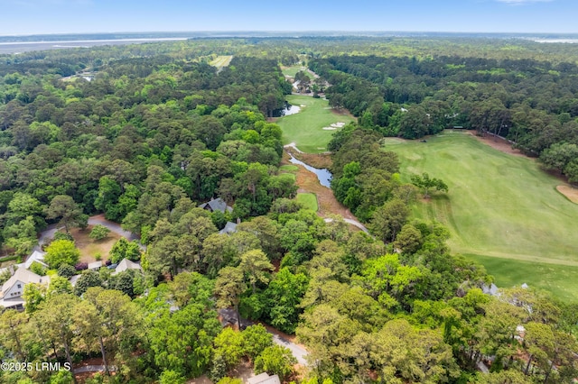 18 Old Tabby Rd, Spring Island, SC 29909 - photo 38