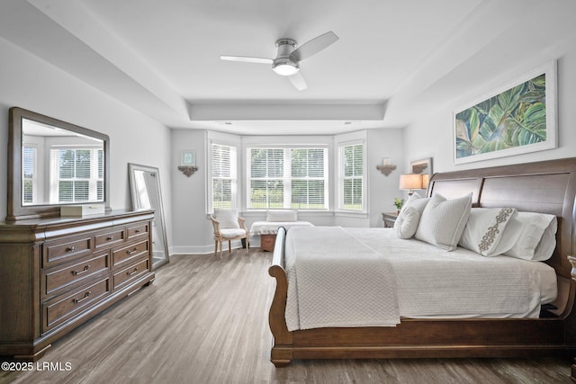 276 Monument St, Ridgeland, SC 29936 - bedroom featuring a tray ceiling, wood finished floors, and baseboards