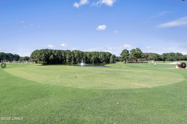 8 Rain Lily Ln, Bluffton, SC 29909 - photo 52