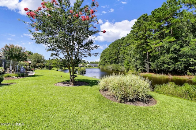 8 Rain Lily Ln, Bluffton, SC 29909 - photo 3