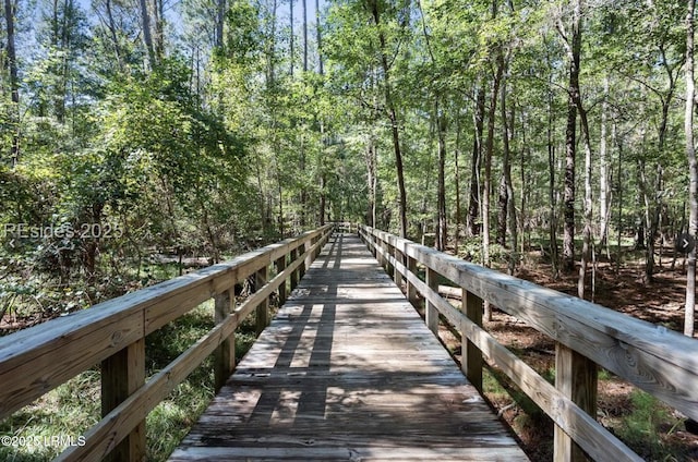 8 Rain Lily Ln, Bluffton, SC 29909 - photo 53