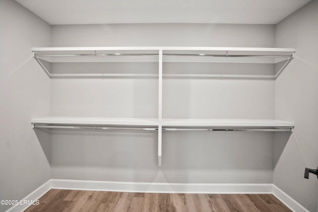 spacious closet featuring wood finished floors