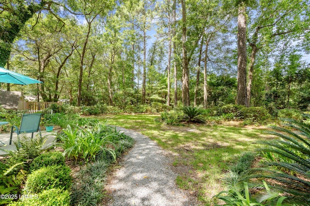 663 Sams Point Rd, Beaufort, SC 29907 - photo 7
