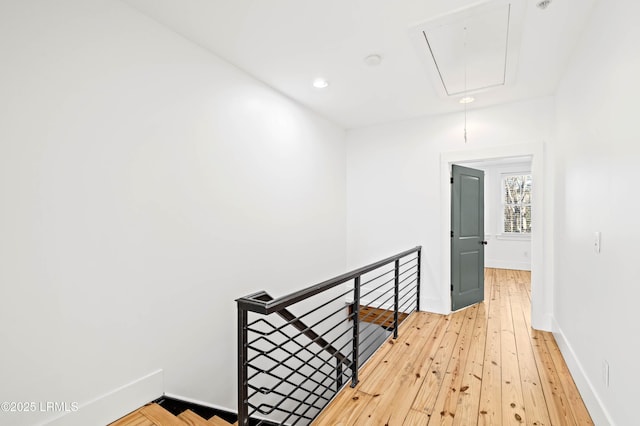 7B Market Unit 1, Beaufort, SC 29906 - corridor featuring light wood-type flooring