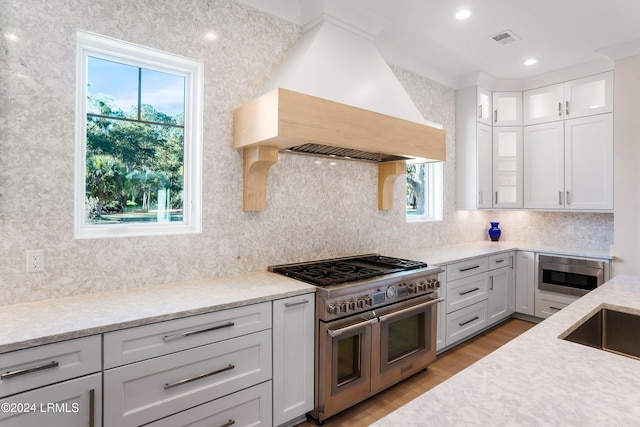 kitchen with backsplash, a wealth of natural light, custom exhaust hood, and appliances with stainless steel finishes