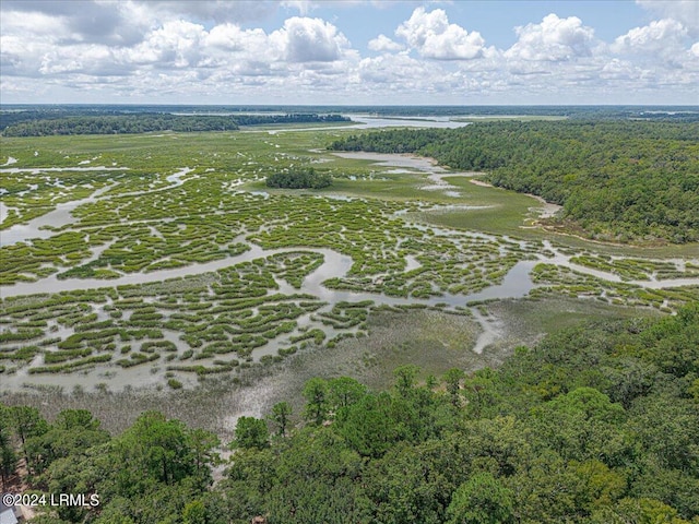 32 Rice Trunk Rd, Okatie SC, 29909 land for sale