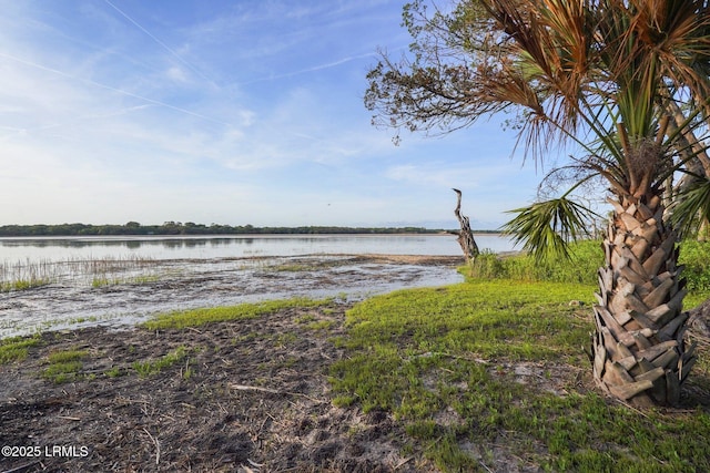 200 Little Horse Island Rd, Saint Helena Island, SC 29920 - photo 86