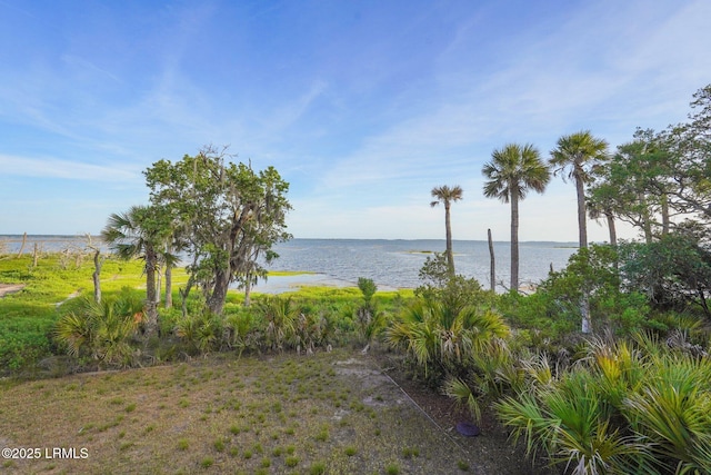 200 Little Horse Island Rd, Saint Helena Island, SC 29920 - photo 87