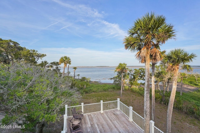 200 Little Horse Island Rd, Saint Helena Island, SC 29920 - photo 76
