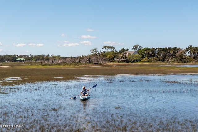 200 Little Horse Island Rd, Saint Helena Island, SC 29920 - photo 8