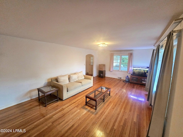 living room featuring wood-type flooring