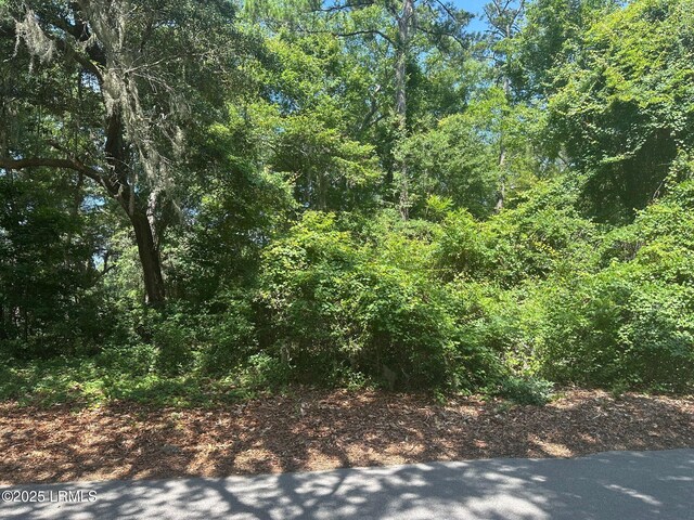 454 Bb Sams Dr, Saint Helena Island, SC 29920 - photo 1