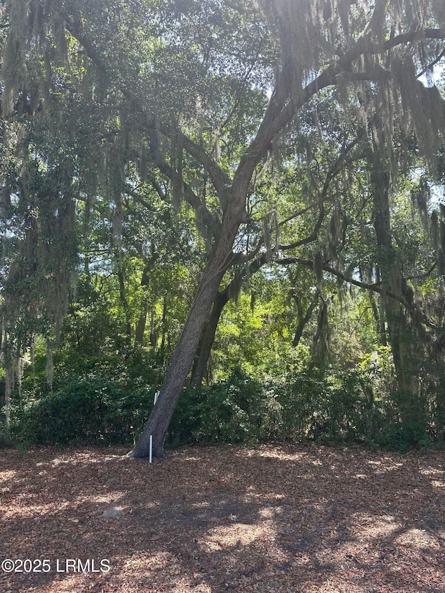 454 Bb Sams Dr, Saint Helena Island, SC 29920 - photo 2