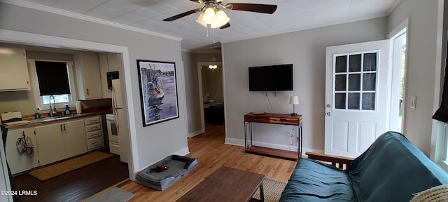 607 Waight St, Beaufort, SC 29902 - living room featuring crown molding, ceiling fan, light hardwood / wood-style floors, and sink