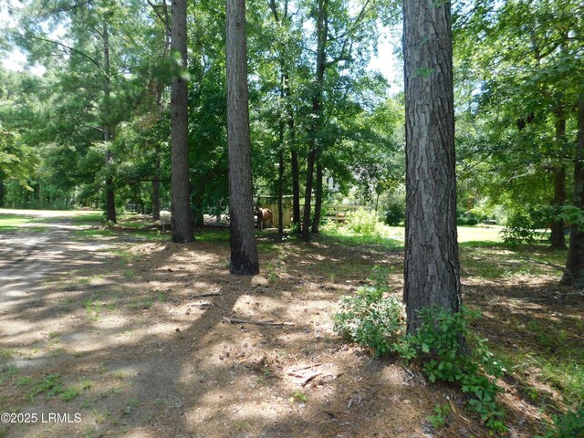 599 Sardis Rd, Ridgeland, SC 29936 - photo 11