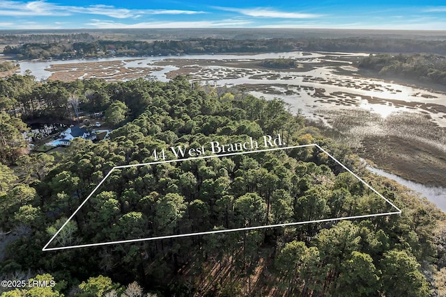 aerial view with a view of trees and a water view