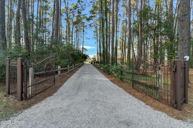 view of road with a gated entry and a gate