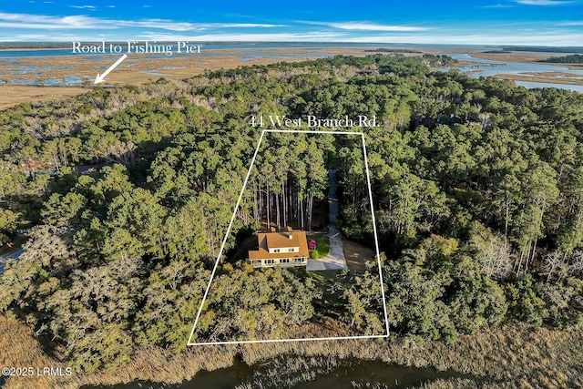 bird's eye view featuring a water view and a view of trees