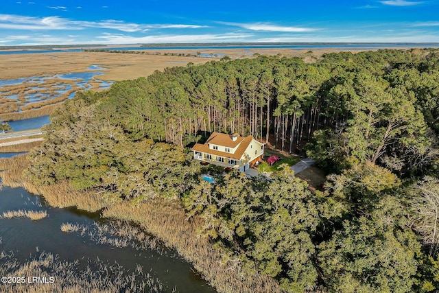 bird's eye view with a view of trees and a water view