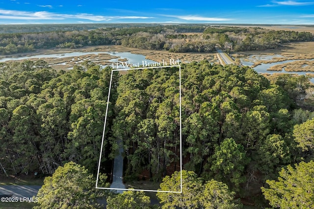 birds eye view of property with a view of trees and a water view