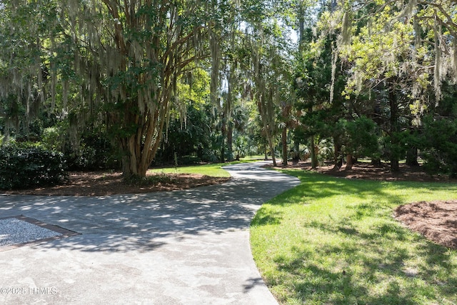 4 Tabby Point Ln, Okatie, SC 29909 - photo 45