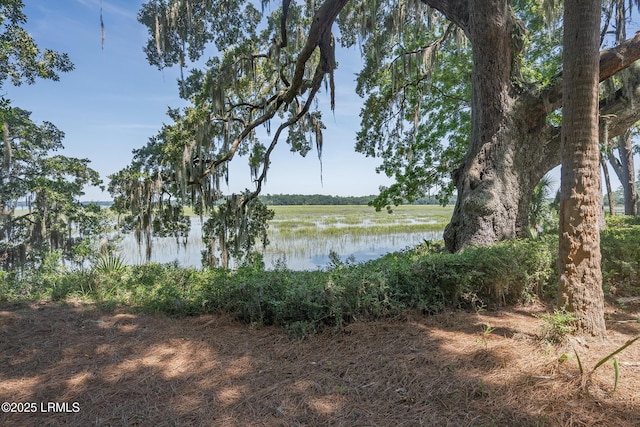 4 Tabby Point Ln, Okatie, SC 29909 - photo 41